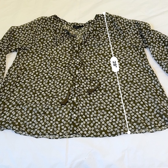 Lane Bryant Sheer Blouse - Picture 2 of 6